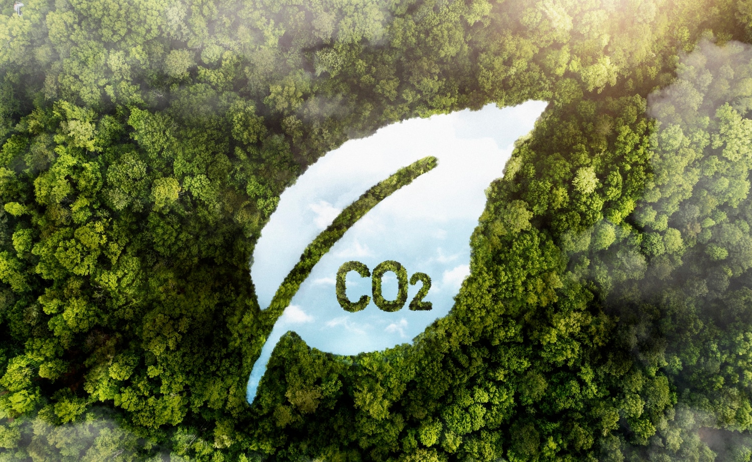 co2 bilanz