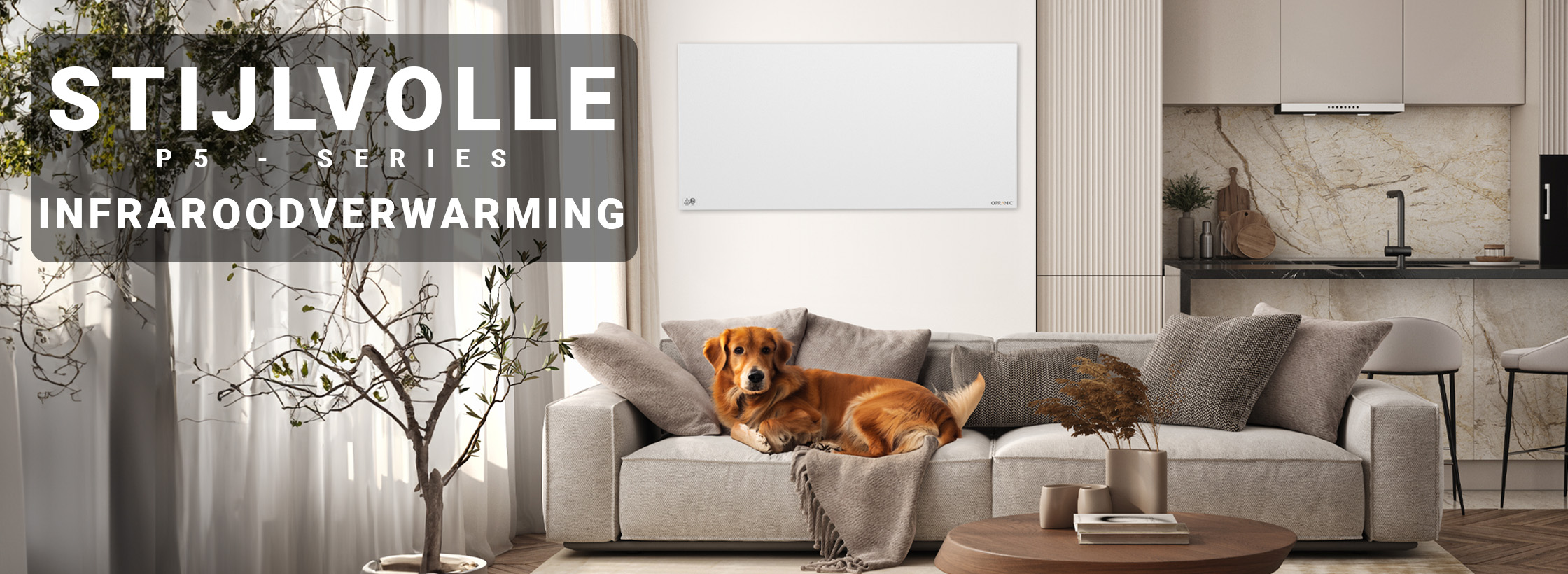 Opranic P5 metalen infraroodverwarming, 300W tot 900W, gemonteerd aan de muur van een moderne woonkamer.